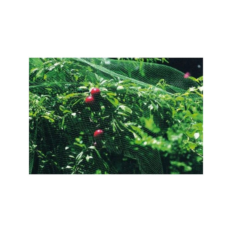 MALLA ANTI-PAJARO 8X10MT NATUUR PL VER NT118602