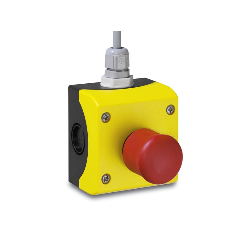 Interruptor de emergencia